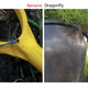 Image for article titled Thousands of Reasons That We Shouldn't Trust a Neural Network to Analyze Images